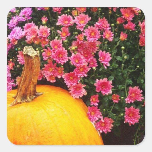 Foto-Aufkleber Quadratischer Aufkleber (Vorderseite)