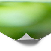 Foto aus blau-blauen Veilchen Poster (Ecke)