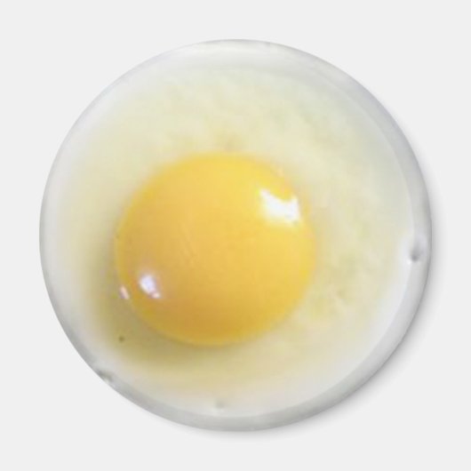 Foto aus gebratenem Ei Magnet (Vorne)
