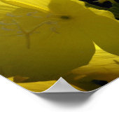 Foto aus gelben Blumen, Posterpapier im Sommer Poster (Ecke)