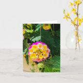 Foto aus gelber und rosa Blume Karte (Gelbe Blume)