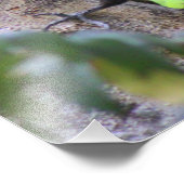 Foto aus gepiletem Woodpecker (Ecke)