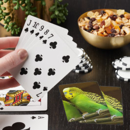Foto aus grünem und gelbem Paraket Spielkarten