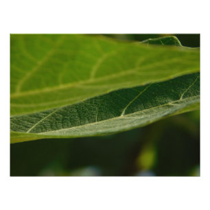 Foto aus Satin mit einem Blatt