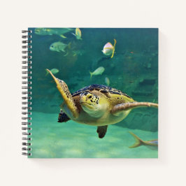 Foto aus Schildkrötenmeer Notizblock