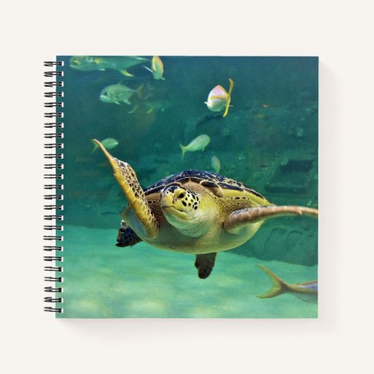 Foto aus Schildkrötenmeer Notizblock (Vorderseite)