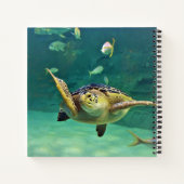 Foto aus Schildkrötenmeer Notizblock (Rückseite)