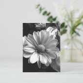 Foto aus schwarzem und weißem Blume Postkarte (Stehend Vorderseite)