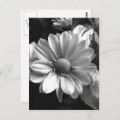 Foto aus schwarzem und weißem Blume Postkarte (Vorne/Hinten)