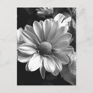Foto aus schwarzem und weißem Blume Postkarte