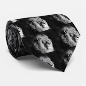 Foto aus schwarzem und weißem Lion Krawatte (Gerollt)