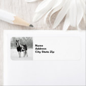 Foto aus schwarzem und weißem Schnee (Insitu)