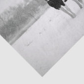 Foto aus schwarzem und weißem Schnee Seidenpapier (Ausschnitt)