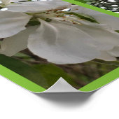 Foto bearbeiten poster (Ecke)