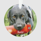 Foto Beileid Kostenvoranschlag Marble Pet Memorial Ornament (Vorderseite)