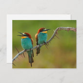 Foto "Bienenstöcke" Postkarte (Vorne/Hinten)