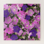 Foto Bild der Morgenglorie Rosa und violette Blume Puzzle (Horizontal)