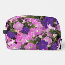 Foto Bild der Morgenglorie Rosa und violette Blume