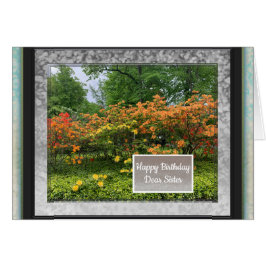 Foto-Bilder für Schwester-Geburtstagskarte