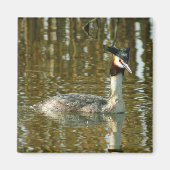 Foto Bird/Crested Grebe/Bird Lover Magne Magnet (Vorne)
