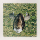 Foto Bird Little Grebe Water Reflection Nature Puzzle (Horizontal)