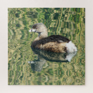 Foto Bird Little Grebe Water Reflection Nature Puzzle