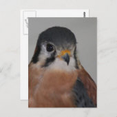 Foto Bird Postkarte (Vorne/Hinten)