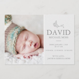 Foto Birth Ankündigung | Vogelankündigung