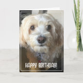 Foto Birthday Card Karte (Vorderseite)