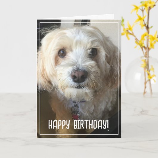 Foto Birthday Card Karte (Gelbe Blume)