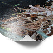 Foto "Black Bar Cub" (Ecke)