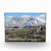 Foto-Block der St Helens-Wildblumen Fotoblock (Vorderseite)