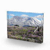 Foto-Block der St Helens-Wildblumen Fotoblock (Rechts)