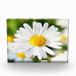 Foto-Block Fotoblock