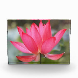 Foto-Block Fotoblock