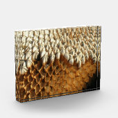 Foto-Block - getrockneter Sonnenblumenkopf Fotoblock (Links)