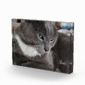 Foto-Block Ihres Tieres Fotoblock (Rechts)