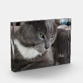 Foto-Block Ihres Tieres Fotoblock (Links)