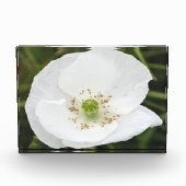 Foto-Block mit Blume Fotoblock (Vorderseite)