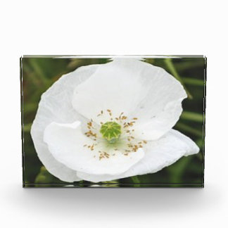 Foto-Block mit Blume Fotoblock