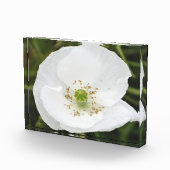 Foto-Block mit Blume Fotoblock (Rechts)