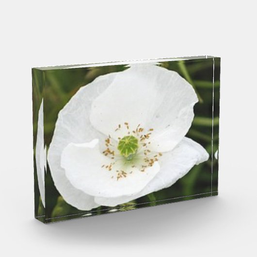 Foto-Block mit Blume Fotoblock (Links)
