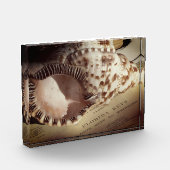 Foto-Block- Muschel der Florida-Tasten Fotoblock (Links)