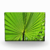 Foto Block - Palm Frontend (Vorderseite)