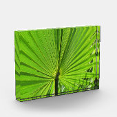 Foto Block - Palm Frontend (Links)