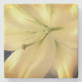 Foto Blume Weißer Lillum Marmorstein Untersetzer