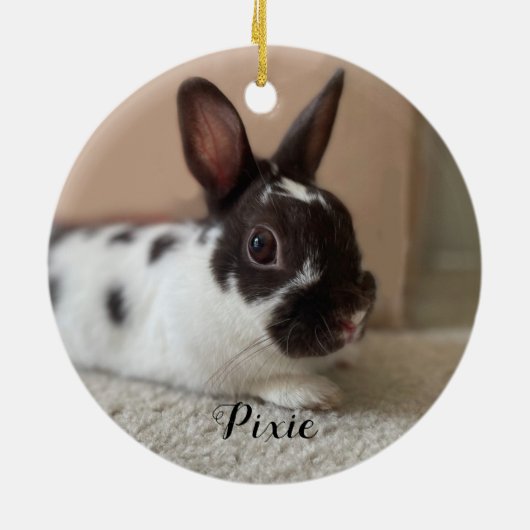 Foto Bunny Pet Memorial Keramik Ornament (Hinten)