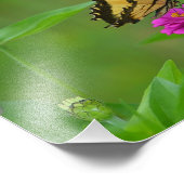 Foto Butterfly Garden (Ecke)