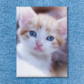 Foto Button
