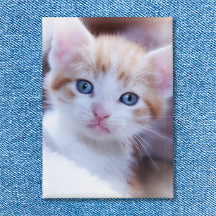 Foto Button